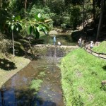 The stream